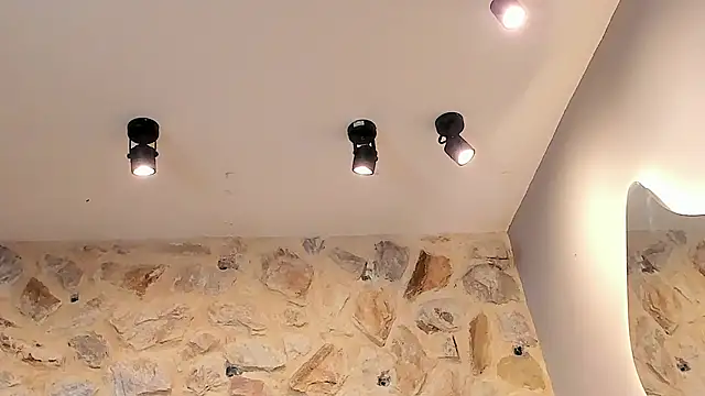 VenusBlazer online show from 02.28.26