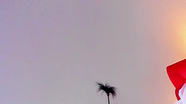 Snapshot of Lillie_Berry chatting on 10.25.25 Lillie Berry online show from 10.25.25