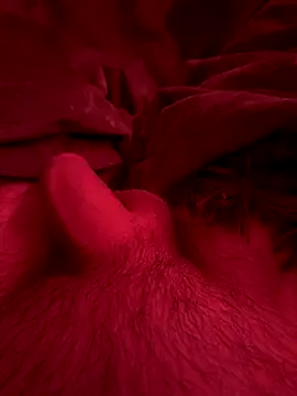 couplefuck   online show from 12.16.25