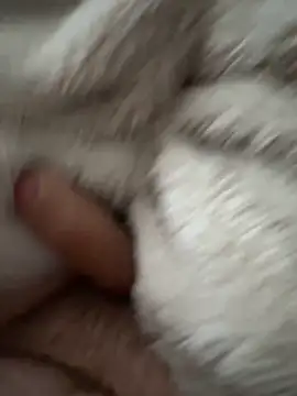 Snapshot of cumshot_foryou chatting on 03.07.26 cumshot foryou online show from 03.07.26