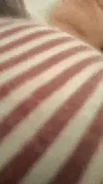 Snapshot of bibi_perigoBr chatting on 09.29.25 bibi perigoBr online show from 09.29.25