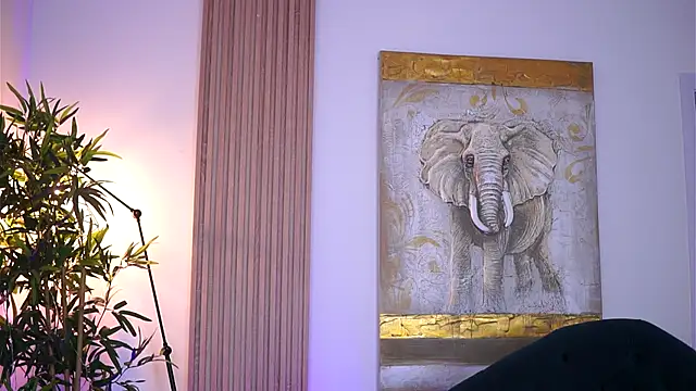 NinaSolenne online show from 11.11.25