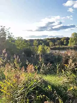 Snapshot of FavoriteKira chatting on 09.20.25 FavoriteKira online show from 09.20.25