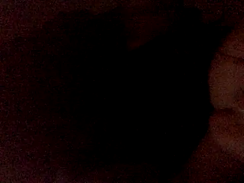 Snapshot of Vnleo2001 chatting on 09.13.25 Vnleo2001 online show from 09.13.25