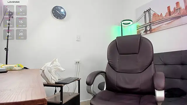 Snapshot of Dash_Bukoski chatting on 11.01.25 Dash Bukoski online show from 11.01.25