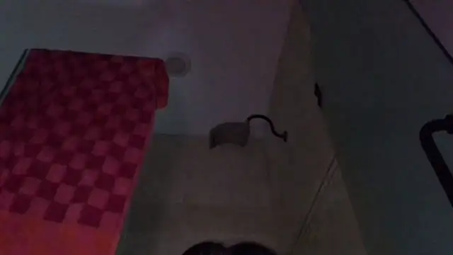 TallDrink11 online show from 09.29.25