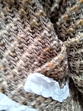 Sinejdk3 online show from 01.07.26