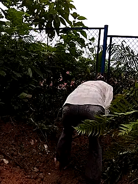 Snapshot of linda_bae00 chatting on 09.27.25 linda bae00 online show from 09.27.25