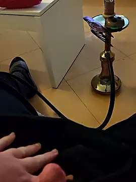 t-dog26 online show from 01.08.26