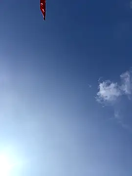 EmLy02 online show from 12.19.25