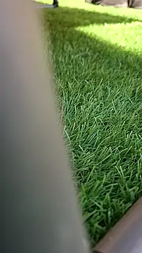 Worppp online show from 03.18.26