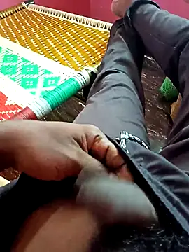 dolphiinn online show from 11.01.25