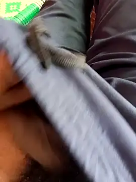 dolphiinn online show from 11.20.25