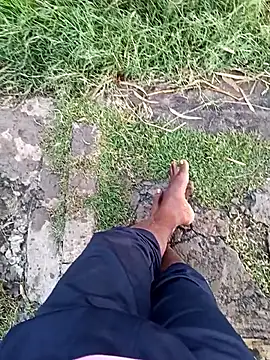 dolphiinn online show from 12.23.25