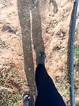 dolphiinn online show from 02.25.26