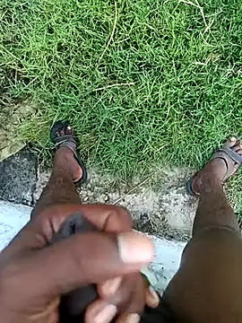 dolphiinn online show from 03.05.26