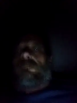 Potch8duim online show from 10.06.25