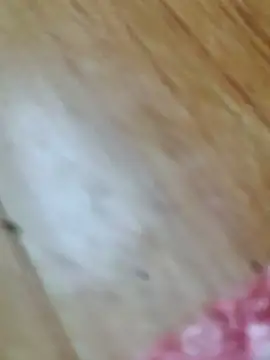 Markroco696 online show from 10.18.25