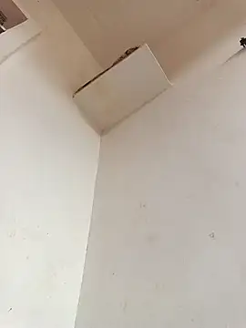 Dikchahot online show from 11.11.25