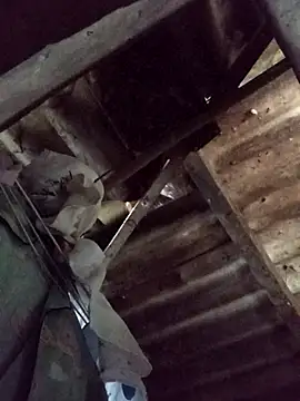  Helala  online show from 10.21.25