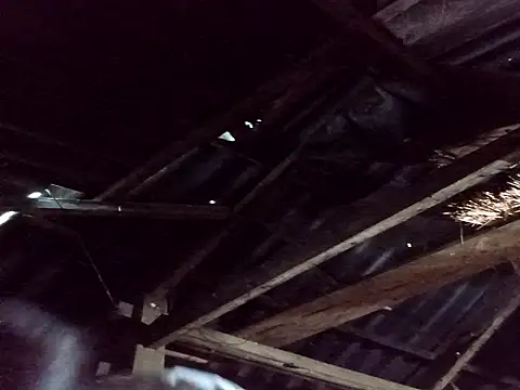  Helala  online show from 10.25.25