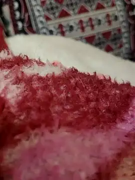 Snapshot of Hot_modal chatting on 11.28.25 Hot modal online show from 11.28.25