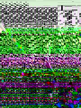 vergeta19 online show from 11.08.25