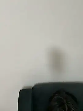 gayfucuxuc online show from 12.15.25