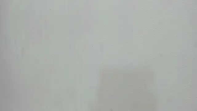 scarlett646 online show from 11.19.25