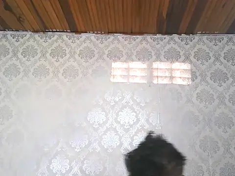 leandro477 online show from 09.13.25