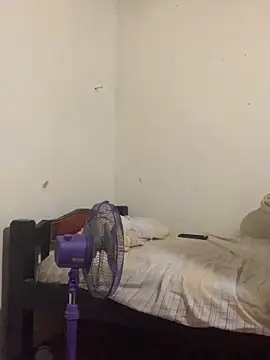 AE 03 online show from 02.12.26