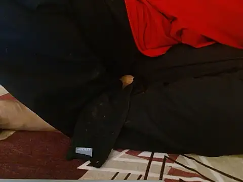 Vaani Singha online show from 11.12.25