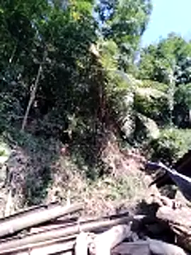 miss-su online show from 02.05.26