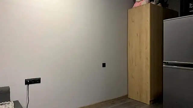 Snapshot of AiMinix chatting on 10.01.25 AiMinix online show from 10.01.25