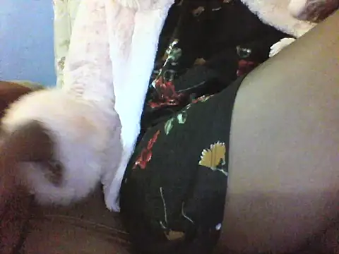 Snapshot of Moongodessy chatting on 03.12.26 Moongodessy online show from 03.12.26