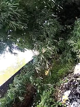 Snapshot of onlymasti00 chatting on 11.04.25 onlymasti00 online show from 11.04.25