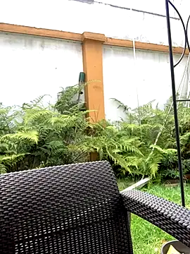 Jasmin Pink online show from 09.25.25