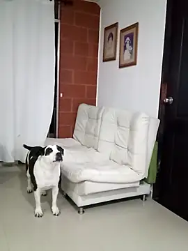 Isbettyche online show from 02.11.26