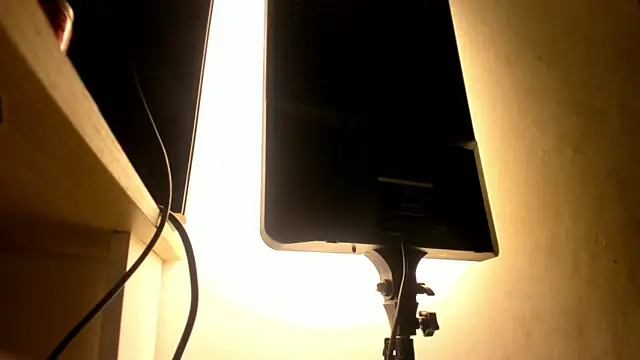 Snapshot of galactica_ chatting on 10.27.25 galactica online show from 10.27.25