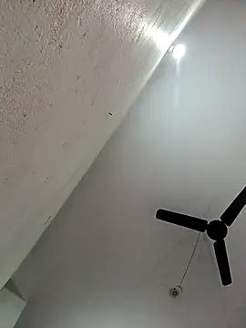 Snapshot of Appypie chatting on 11.11.25 Appypie online show from 11.11.25