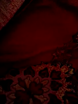 Snapshot of WrinkledTriops chatting on 03.06.26 WrinkledTriops online show from 03.06.26