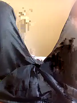 Snapshot of WrinkledTriops chatting on 03.29.26 WrinkledTriops online show from 03.29.26