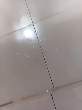 WrinkledTriops online show from 03.31.26