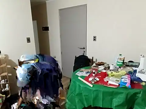 Gato2025perro online show from 12.15.25