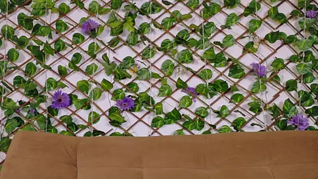 kloe bella online show from 01.13.26