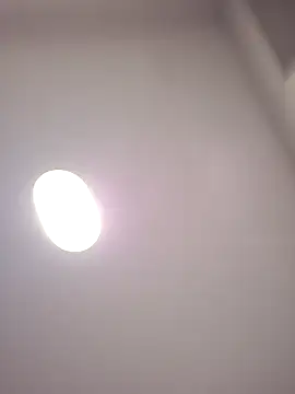 Danypeluche online show from 12.15.25