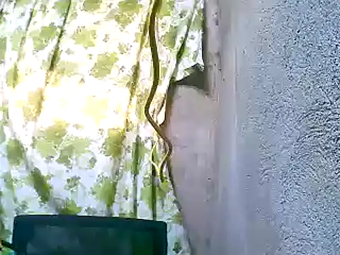 Sweeetgurll online show from 11.05.25