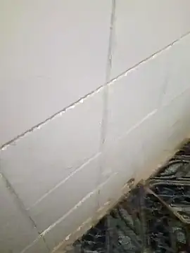 Snapshot of kelvinjesus34 chatting on 10.19.25 kelvinjesus34 online show from 10.19.25