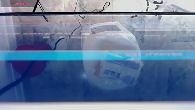 Snapshot of andrealopezcm101 chatting on 12.15.25 andrealopezcm101 online show from 12.15.25