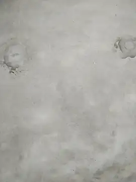 kute-00 online show from 02.08.26